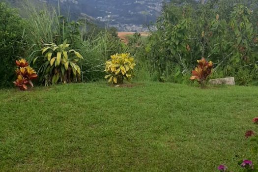 ARRIENDO FINCA CAMPESTRE FAMILIAR LEBRIJA