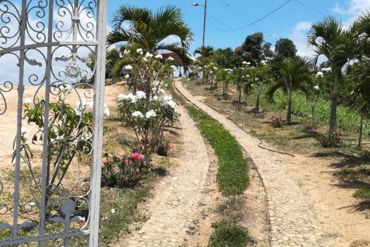 ARRIENDO FINCA CAMPESTRE FAMILIAR LEBRIJA